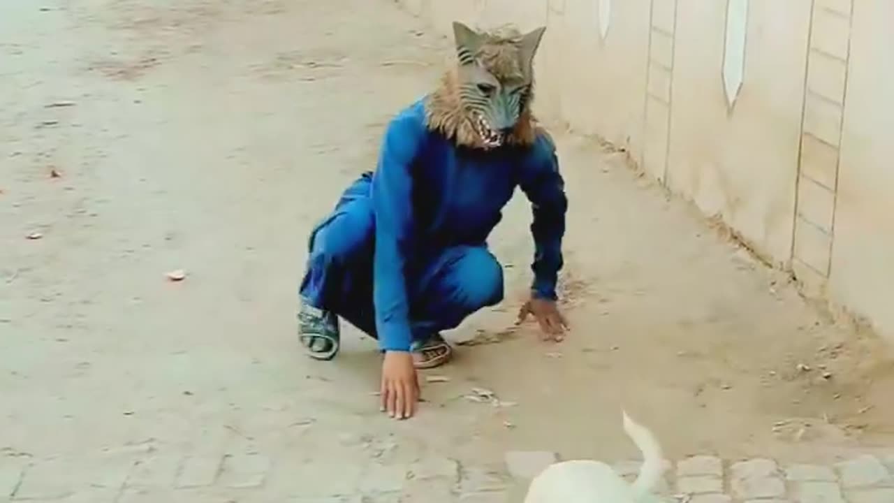 Prank
