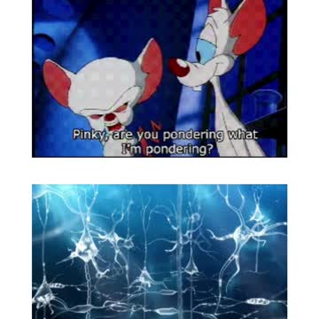 o pink e o cerebro desenho