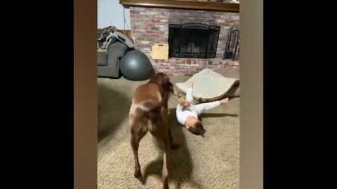 Precious friendship between baby and dog