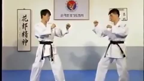 Hapkido