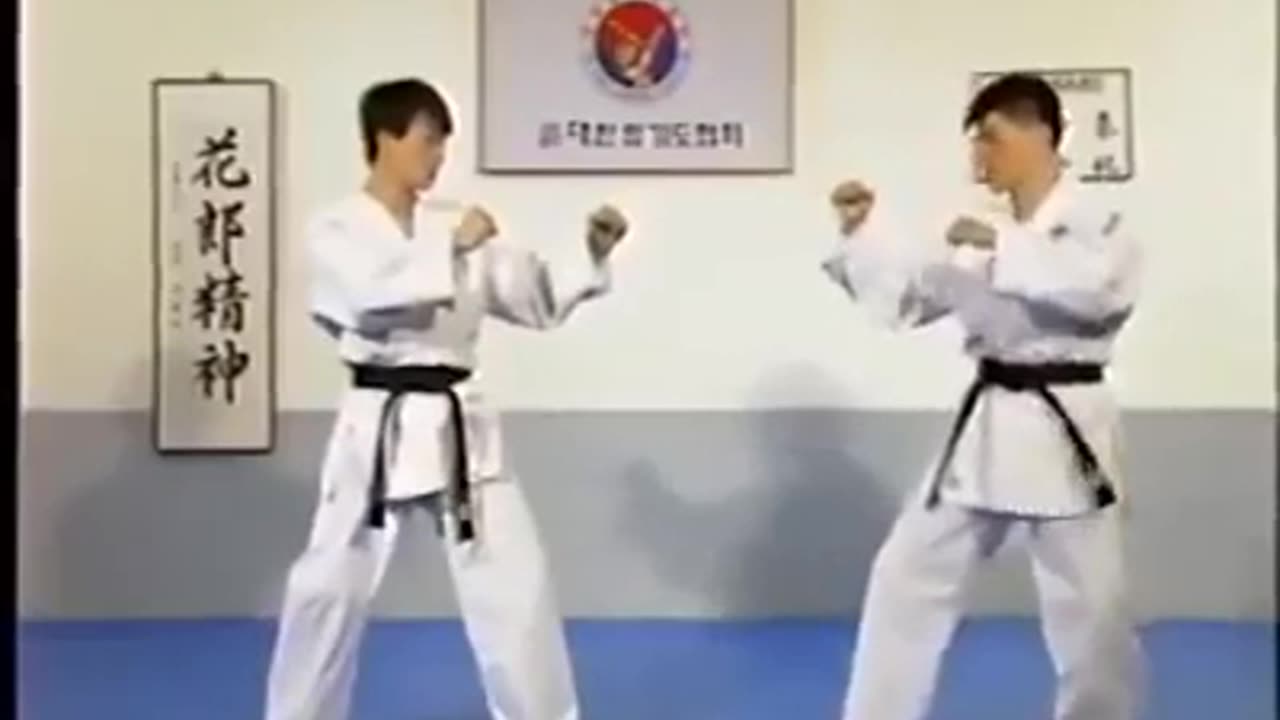 Hapkido