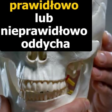 Dotlenienie - Oddychanie a kształtowanie 👦 twarzoczaszki, 🦷 ortotropia, 4 fragment... - P. K., CM VV