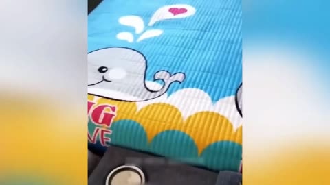 Animal Funny Clip 3