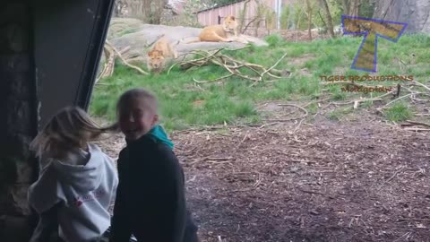 Funny KIDS vs ZOO ANIMALS are WAY FUNNIER