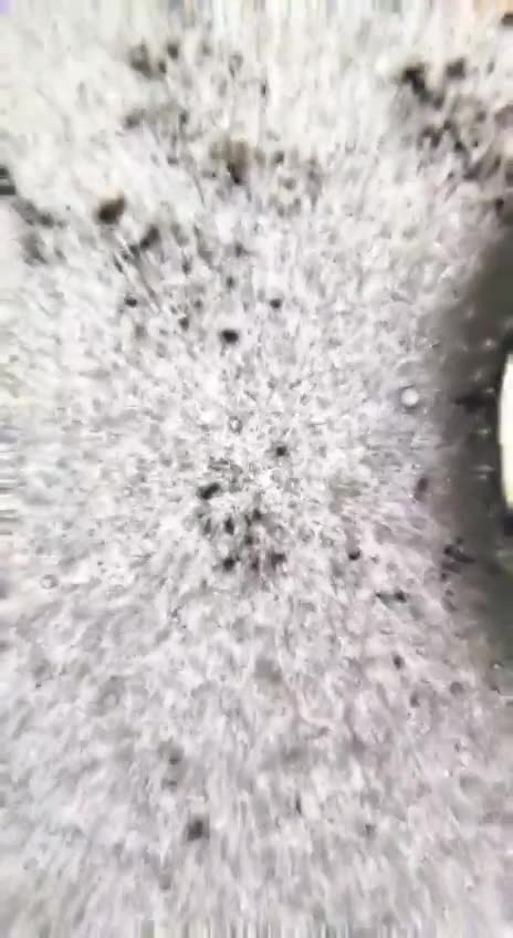 Tap water is the most underrated cause of disease