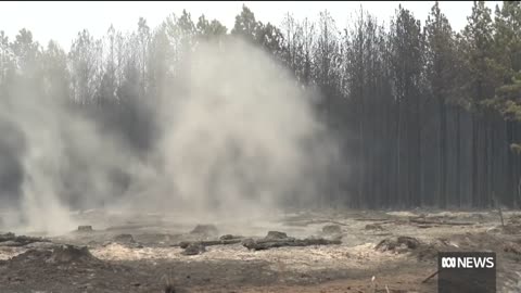 Argentina wildfires: Corrientes declared 'ecological and environmental disaster zone' | The World