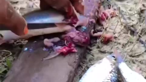 This is a beautiful and charming water-dwelling species