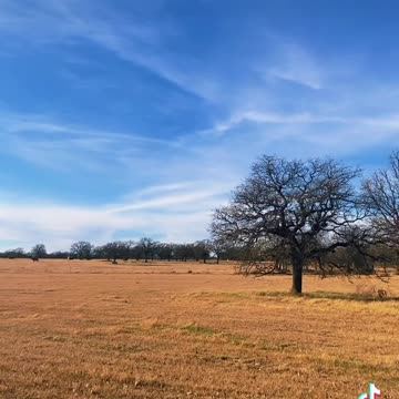Texas Christmas