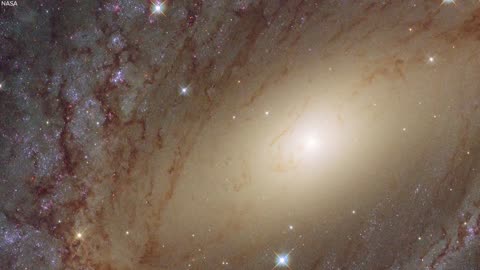 27 fact about human existence