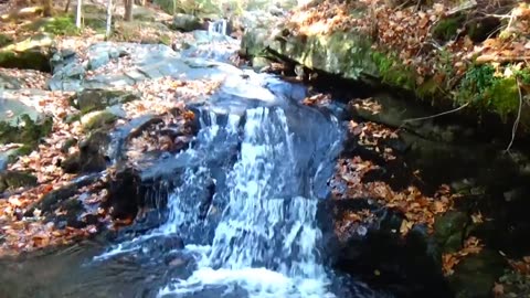 Cascades