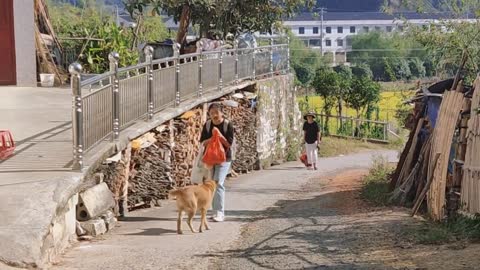 The dog comes to welcome the little master who comes home from vacation