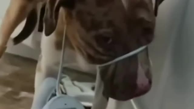 #funny