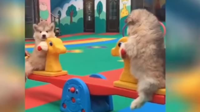Best Cute and Funny Cats and Dogs 2022 💕 Funny Pet Videos