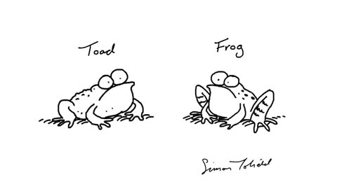 Simon Draws Toads and Frogs - Simon's Cat CREATIVE