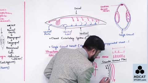 LEC#5 RESPIRATION IN FISHES