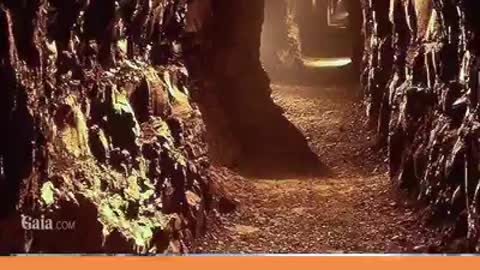 A world under our feet