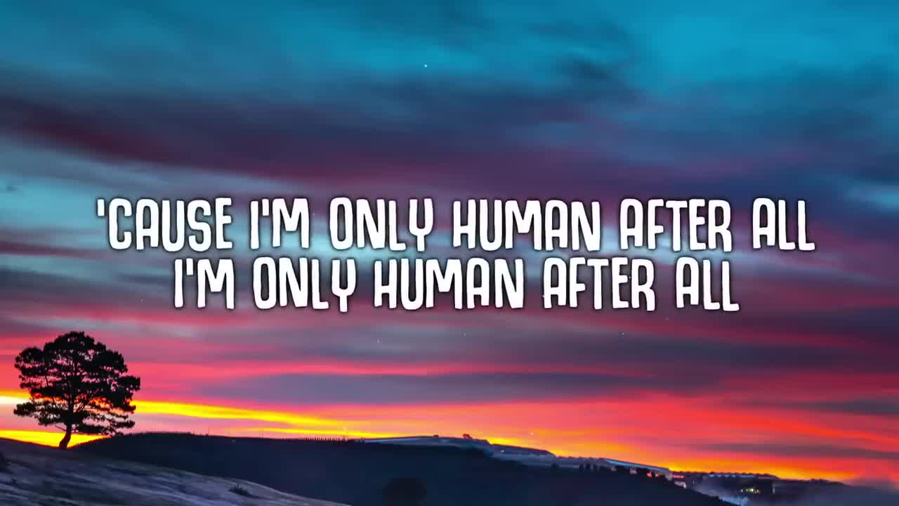 Rag'n'Bone Man - Human (Lyrics)