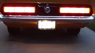 Shelby Tail Lights