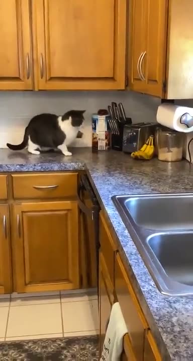 The battle with the banana