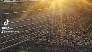 Ancient stones Sun alignment