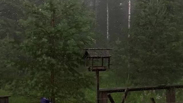 Rain