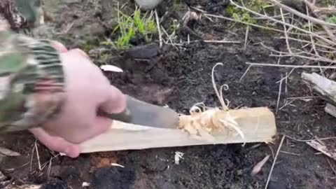 Making bread 🥖 on a stick