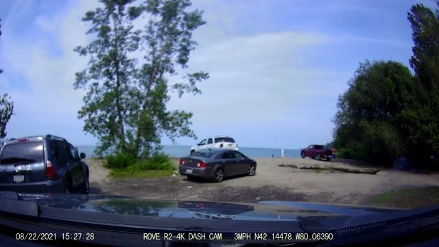 Its always something at "Low Life Beach"