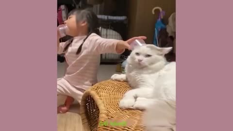 Best Funny Dogs And Cats Videos 😆 Funniest Animals Videos 2023😂