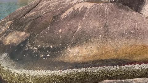 4/5 - Tour completo pela Prainha das Pedras em Governador Celso Ramos e uma Surpresa nada Agradável