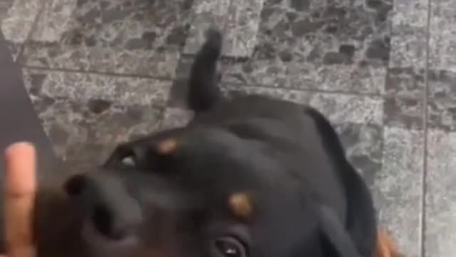 Reaction