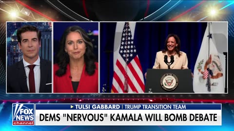 Tulsi Gabbard: Kamala Harris was treated with 'kid gloves'