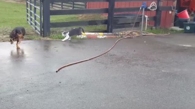 👽​👽​👽​ I just want to jump