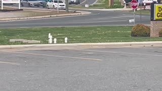 Police Chase Car Near Store Parking Lot