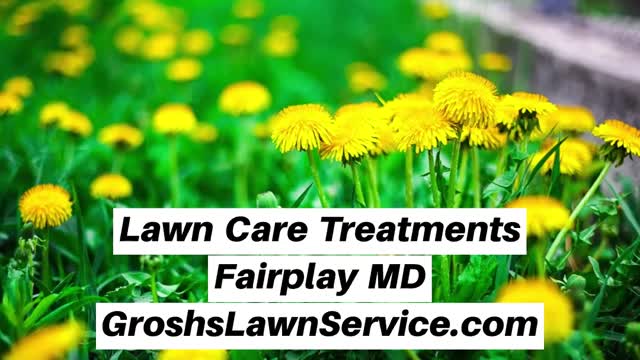 Lawn Care Treatments Fairplay MD Lawn Service