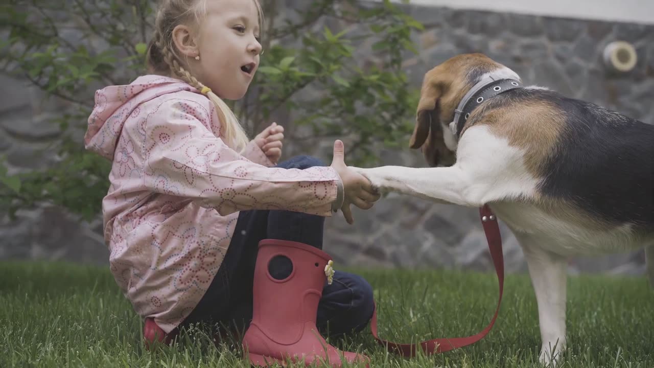 Top Ten Kid friendly Dogs