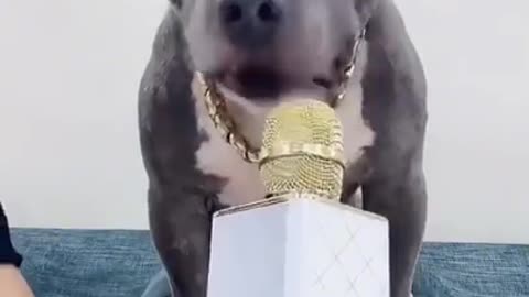 Dog singing🎤 with his owner 🐶🤣🤣