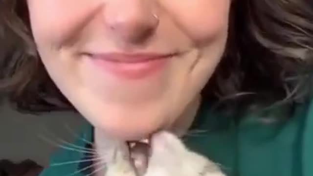 These cats annoy me so much