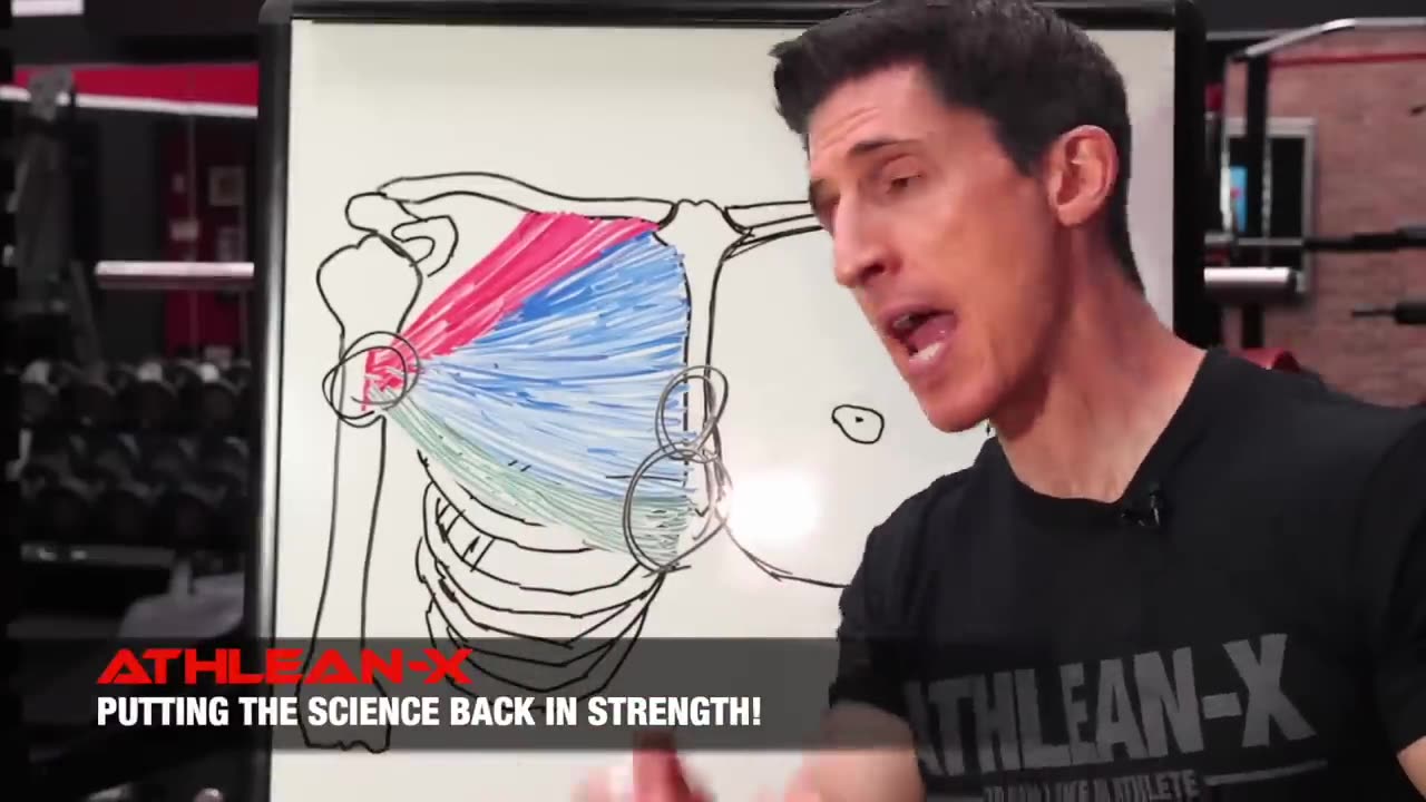 Get a Chiseled Lower chest ( No b******* Guide)