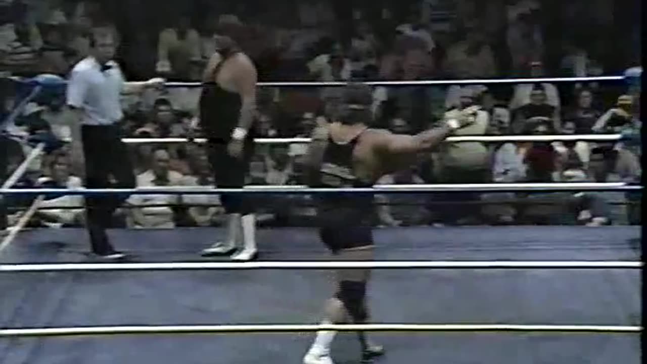 NWA World Wide Wrestling Jun 24 1989