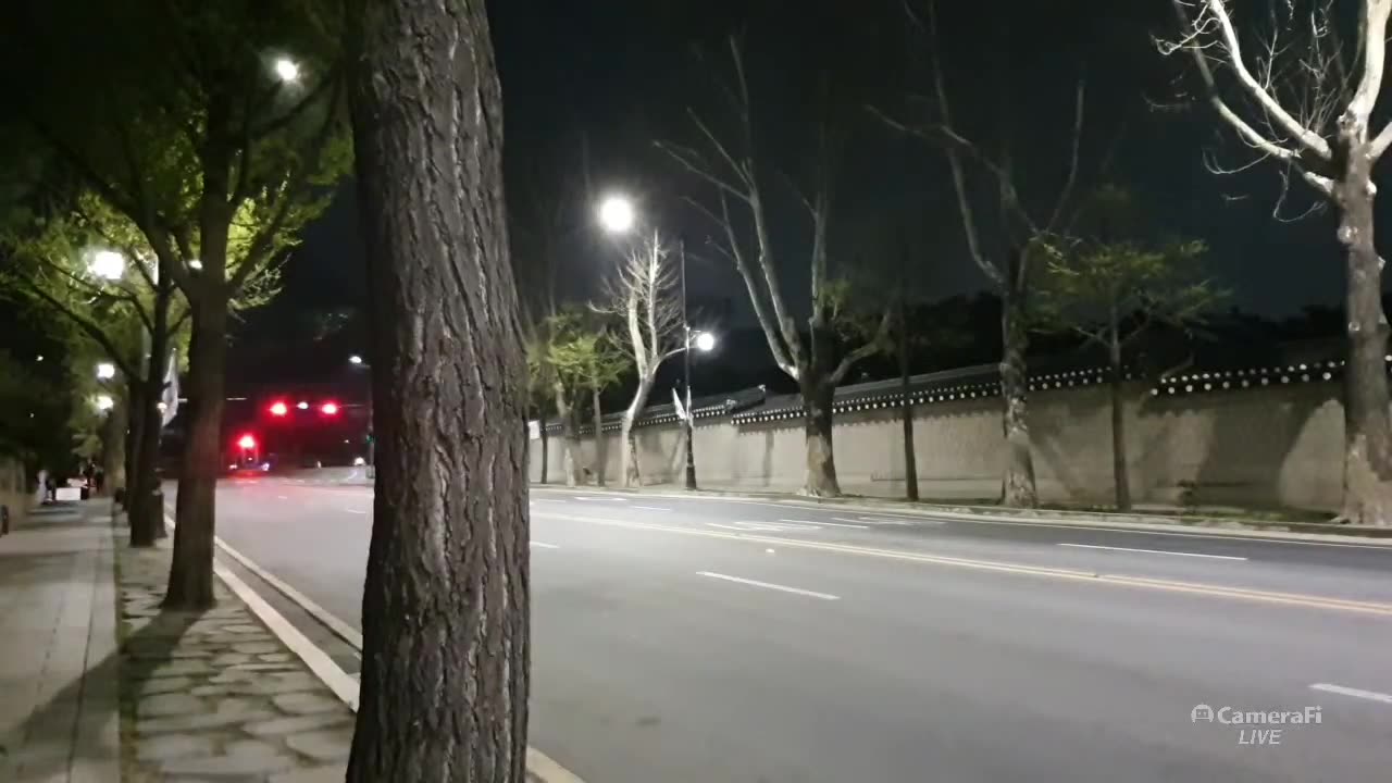 20200421_V3_S01(WridUjETt48)청와대앞 생명나무 앞에서 국민에게 희망의 메시지를