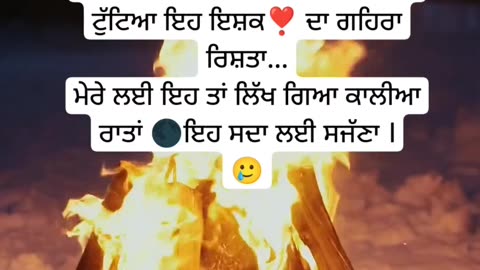 Viral video on Instagram l Punjabi shayari l trending reels