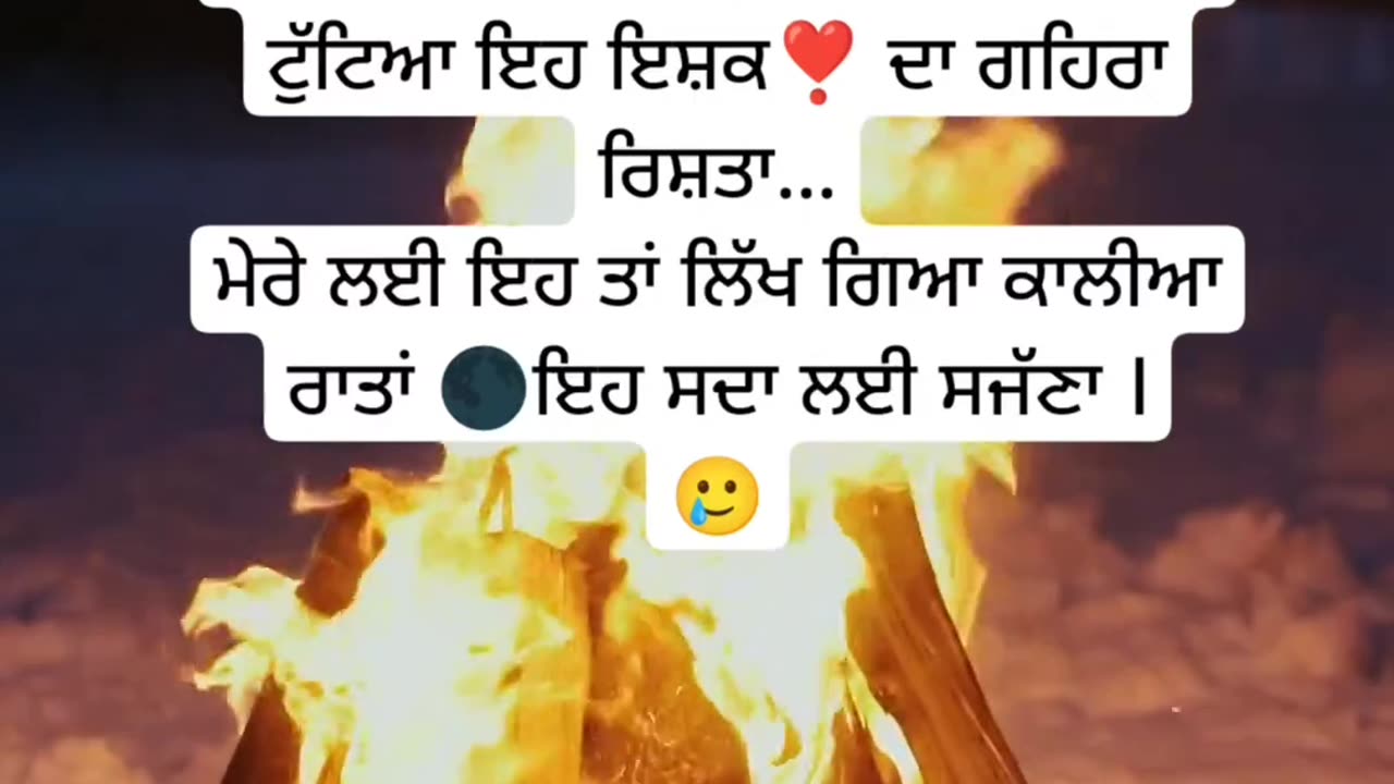 Viral video on Instagram l Punjabi shayari l trending reels