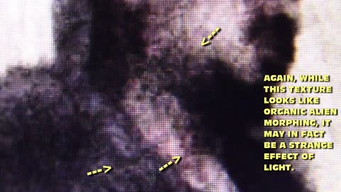 173. They Live Serpents! Vol 12 Lions, Birds, Demons!