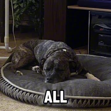 I’m the problem it’s me