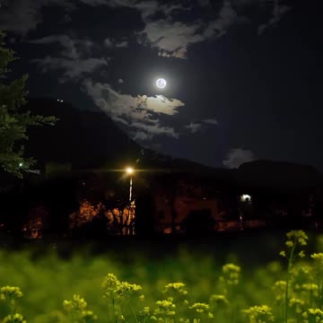 Beauty of night ! Joy Funny Factory