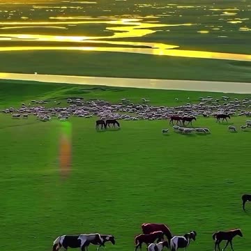 Grass Land 🐴 Joy Funny Factory