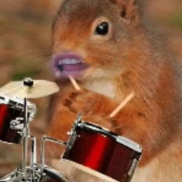 "Gimme Your Nutz!" Original Squirrel Rap