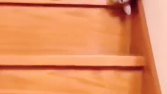 My new way of walking down stairs