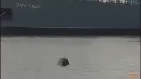 Apparently this seagull won't be needing a coffin.