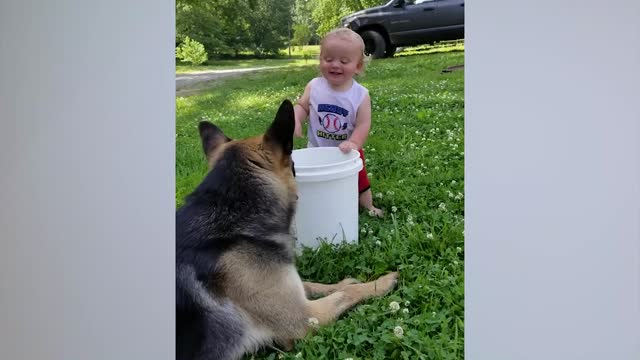 Cute Babies Playing With Dogs Compilation _ Funny Baby And Pets~6
